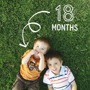 Shane 18 months