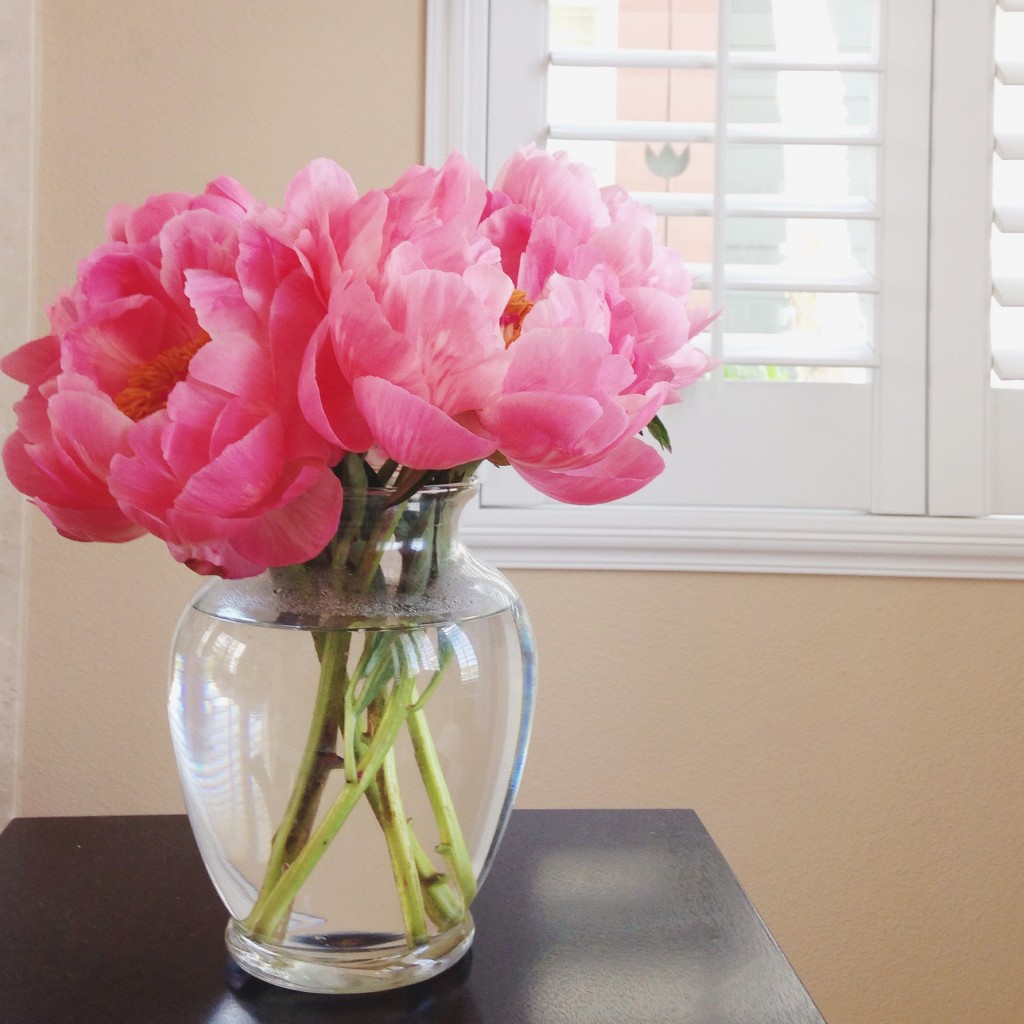 peonies